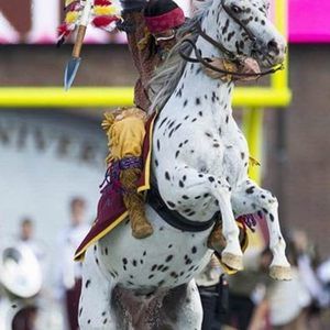 Meet your Posher, Danny